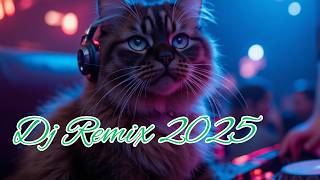 Dj Remix 2025 |dj breakbeat 2025 terbaru  |dj breakbeat 2025  |dj