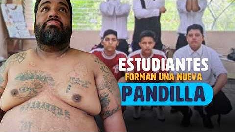 Estudiantes crean una Nueva Pandilla
