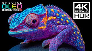 Amazing Cinematic 4K videos with Music for Sleep | 4K HDR Dolby Vision 60fps