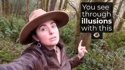 You are piercing the veil again…