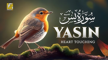 Surah Yasin (Yaseen) سورة يس | This Calm Voice Will TOUCH Your HEART إن شاء الله | Zikrullah TV