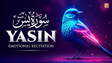 Surah Yasin (Yaseen) سورة يس | This Calm Voice Will TOUCH Your HEART إن شاء الله | Zikrullah TV