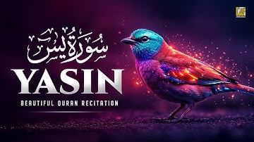 Surah Yasin (Yaseen) سورة يس | This Calm Voice Will TOUCH Your HEART إن شاء الله | Zikrullah TV