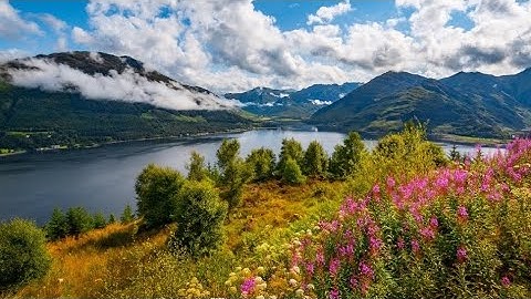 Milieukunde 1 (Inleiding)