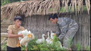 Recalling the time when selling ducks was the main source of income for Chi Duyen's family