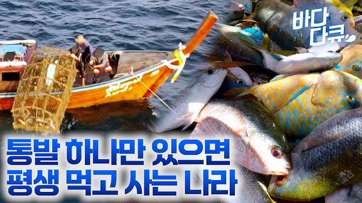 통발 하나 바다에 두고 오면 온 마을이 먹을 물고기는 잡아온다는 나라 / 낚싯대도 없이 거대한 괴물 가오리를 낚는 태국 어부 / 태국 푸켓 통발잡이 / #바다다큐