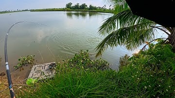 Câu Cá Sông Ngoài Tự Nhiên – Phao Chìm Siêu Nhanh Báo Cá Khủng Vào