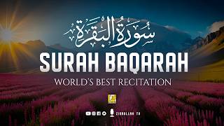 Surah Al-Baqarah Full (سورة البقرة) | Ultimate Peaceful Heart Touching Quranic Voice | Zikrullah TV