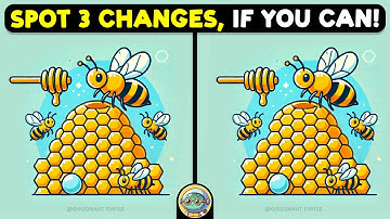 🐢🧩 Find The Difference | Are You Sharp Enough? 🧩🐢 | Quizonaut Turtle