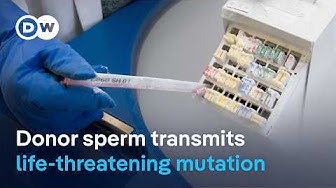 Thumbnail for What are the legal consequences of a situation like this? | DW News