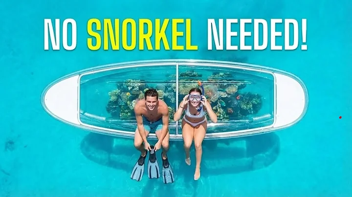 Cozumel’s Top 5 Must-Do Tours & Adventures (Local Guide)