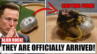 A Man Found a Meteor Rock, And It Came to Life Overnight - Scientists Are Terrified!