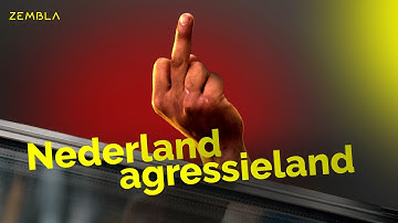 Bespuugd, geslagen en uitgescholden op je werk: de impact van agressie | Nederland agressieland #1