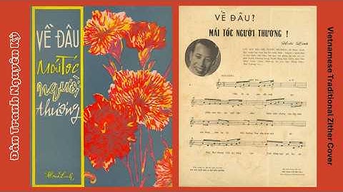 Về Đâu Mái Tóc Người Thương - Hoài Linh | Cover Đàn Tranh Nguyên Kỳ