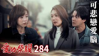 愛的榮耀 EP284 可悲戀愛腦｜Glory of Love