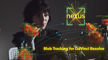 Nexus - Blob Tracking Plugin for DaVinci Resolve - DCTL