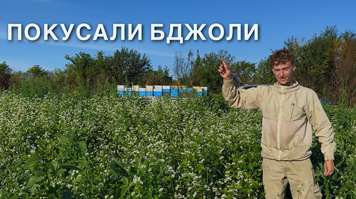 DOKOCHUVASYA. "Take the apiary away!" — How we were KICKED out of the village