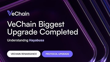 Hayabusa Hard Fork is Complete: Your Guide to a New VeChain $VET
