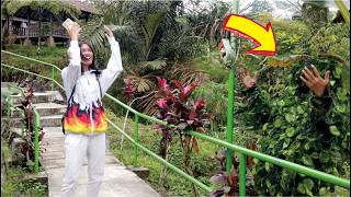 Oh.. Lord Jesus... Bushman Prank funny video