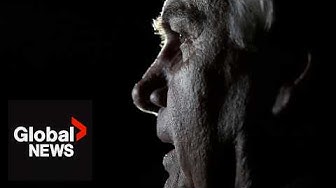 Thumbnail for Brazil ex-president Bolsonaro arrested over plot to escape prison sentence