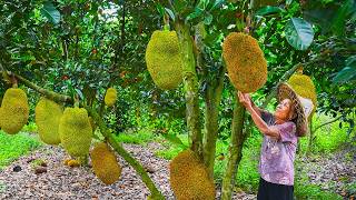 4 Ways to Use Jackfruit in Traditional Chinese Cooking｜#jackfruit ｜Guangxi Grandma