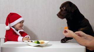 The FUNNIEST Baby Santa Reaction and His Dog!