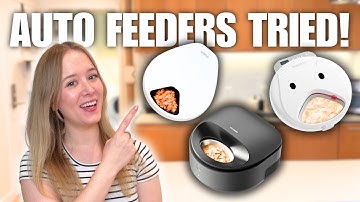 I tested the best wet pet food auto feeders so you don’t have to
