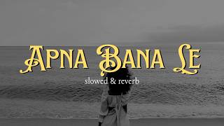 Apna Bana Le - Bhediya in New Voice | sanya & shami |