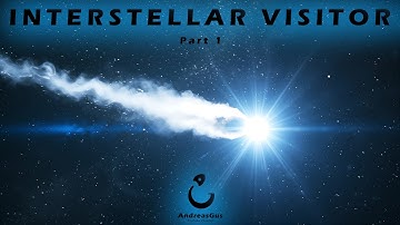 Interstellar Visitor