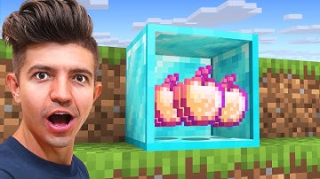 Minecraft But You Can Open Blocks