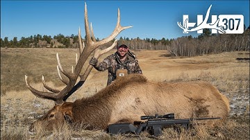 200+ Elk at FIRST LIGHT! Wyoming Bull Elk Hunt 2025 (4K)