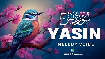 Surah Yaseen (Yasin) سورة يس | Relaxing Quran for Stress Relief & Deep Sleep #quranforsleep