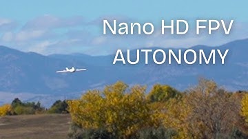 I Built a Fully Autonomous FPV Nano Wing