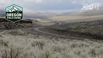 Sage grouse face new threat from lithium mining after a decade of conservation | Oregon Field Guide
