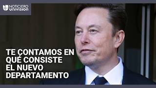 ¿Qué esperar de Elon Musk en el Departamento de Eficiencia Gubernamental? Un experto analiza