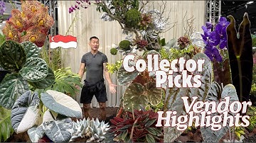 Singapore Planter’s Market | Exquisite Rare Plants, Aroids, New Hybrids, Timeless Classics, Blooms