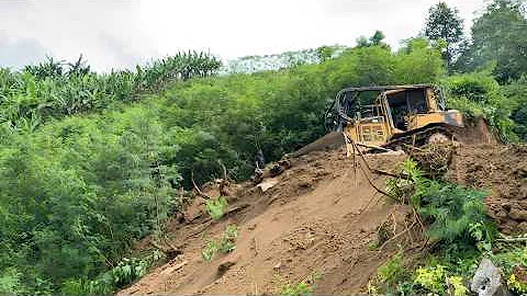 Caterpillar D6R XL Bulldozer Brutally Creates a New Forest Road in Extreme Terrain