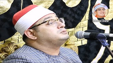 #سورة_القصص لاول مـرة خاشـع يبكـى القلـوب #لشيـخ_محمود_الشحات قارئ العالم الاول فقط #mahmood_shahat