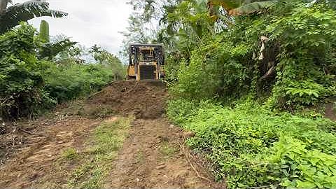 The CAT D6R XL Bulldozer Clears a Forest Path in a Matter of Minutes!