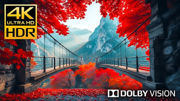 Discover the HIDDEN BENEFITS of 4K Nature in DOLBY VISION 4K HDR 120fps