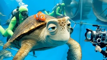 Finding Nemo in Real Life! 🎬 Behind the Scenes