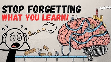 Why You Forget Everything You Learn and How to Fix It