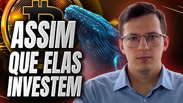 REVELADO: Como rastrear e COPIAR baleias em tempo real? APRENDA ISSO MONITORANDO A BLOCKCHAIN!