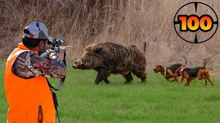TOP 100 WILD BOAR HUNTS (UNBELIEVABLE SHOTS)
