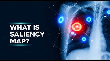 Wat is de Saliency Map?