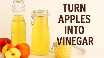 Turn Apples into Vinegar | Easy Homemade Fermentation Recipe from Scratch