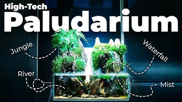 The Ultimate Hybrid Aquarium - Waterfall, Mist & Jungle in One Tank