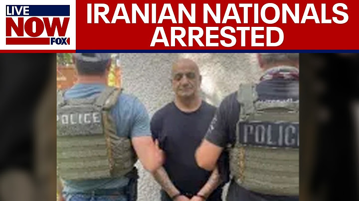 Sleeper cell concerns: Minnesota man among 11 Iranians arrested by ICE