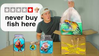 Buying Fish From The Worst Rated Online Fish Stores