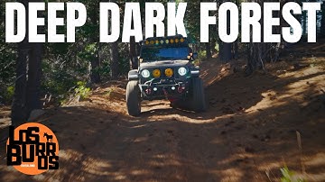 Exploring Dodge Ridge: A Sierra Nevada Solo Overland Adventure